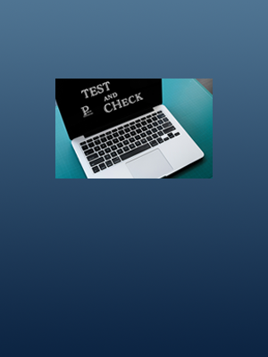 テストチェックセクション背景